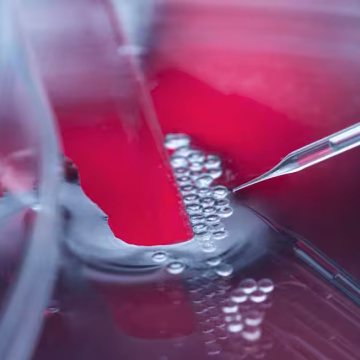 Inside America’s rogue stem cell industry