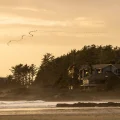 7 of the Best Birdwatching Travel Destinations Around the World